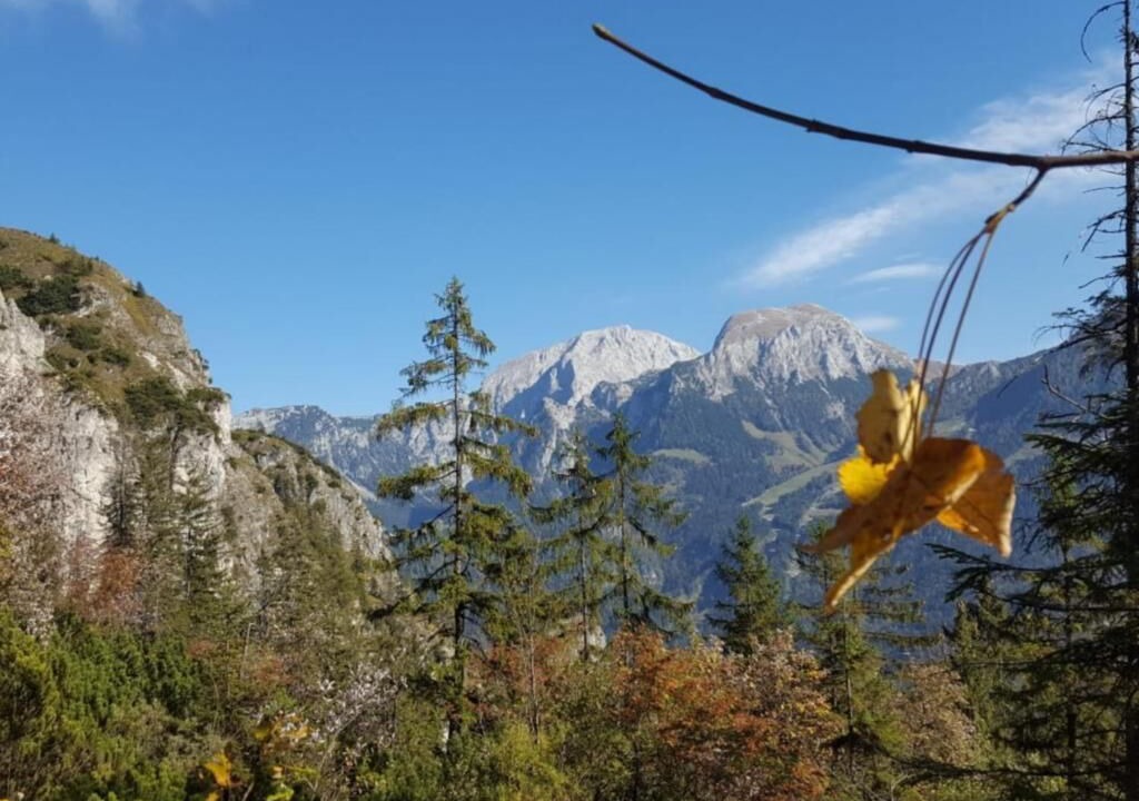 Photo of Others in Konigssee