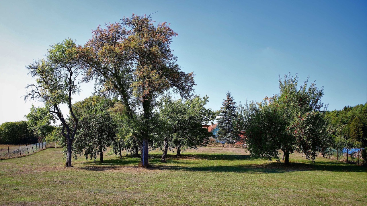 Photo of Others in Obertrubach