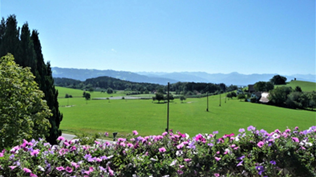 Photo of Outdoor in Lindau