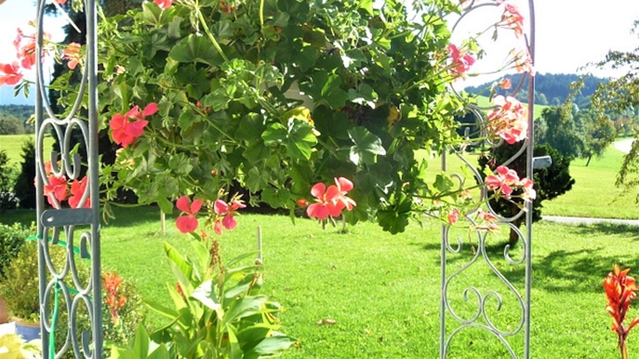 Photo of Outdoor in Lindau