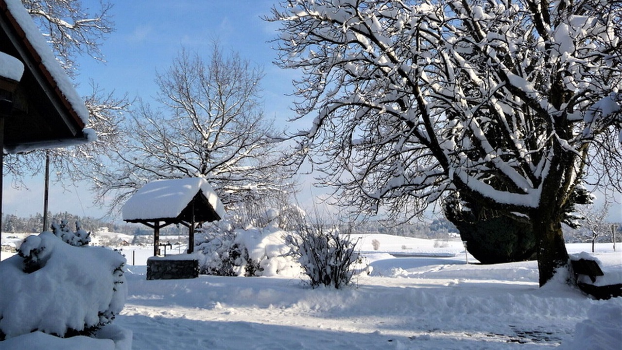 Photo of Outdoor in Lindau
