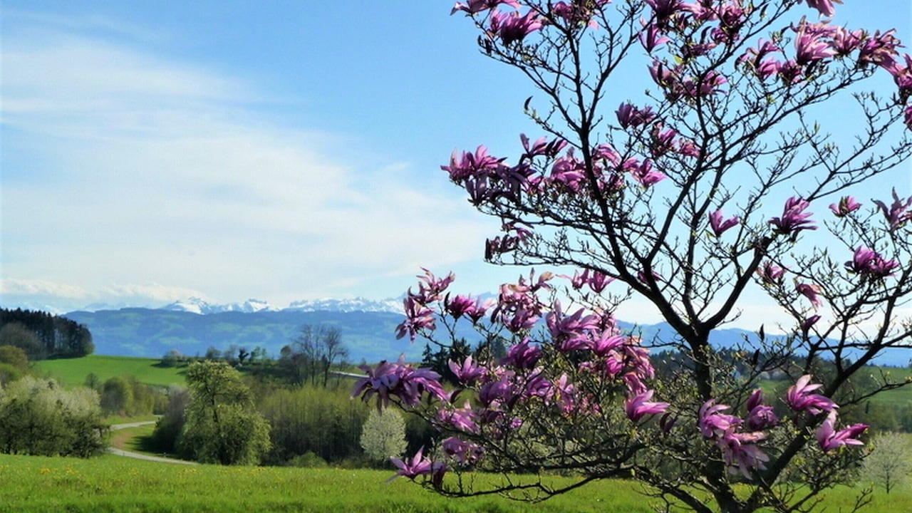 Photo of Outdoor in Lindau