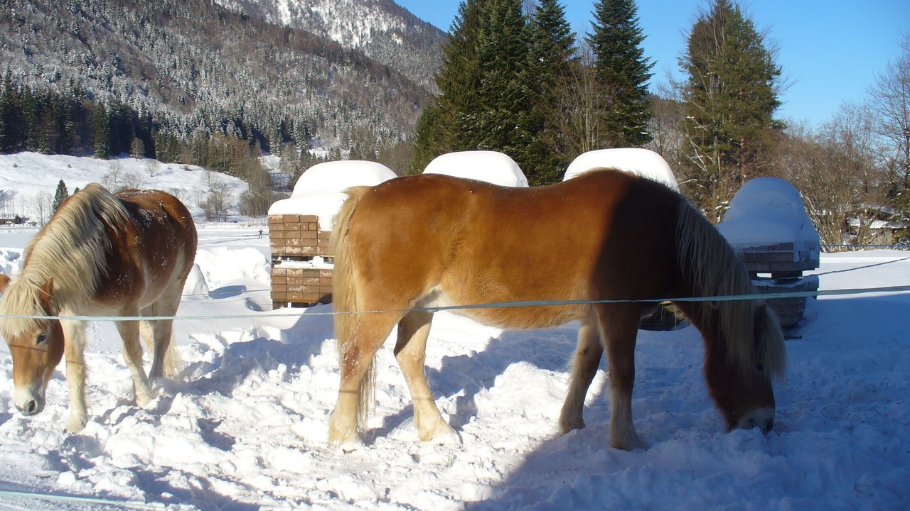 Photo of Others in Aschau im Chiemgau