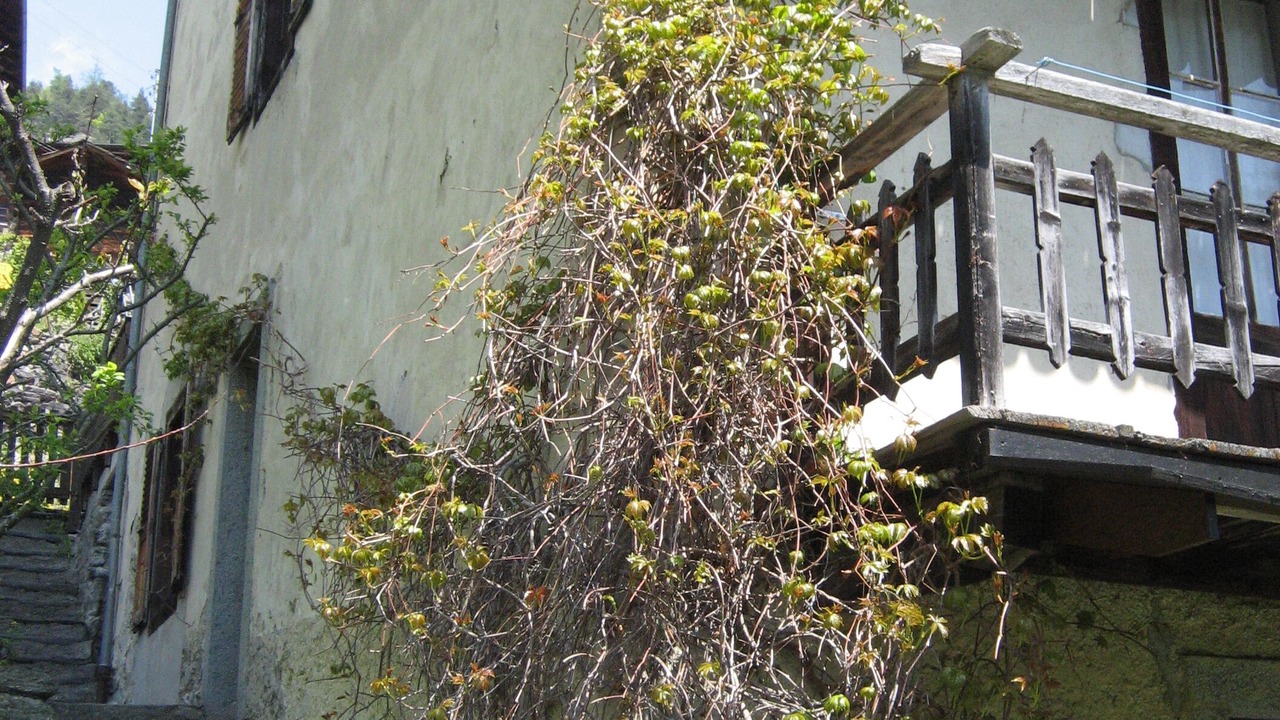Photo of Outdoor in Le Tretien