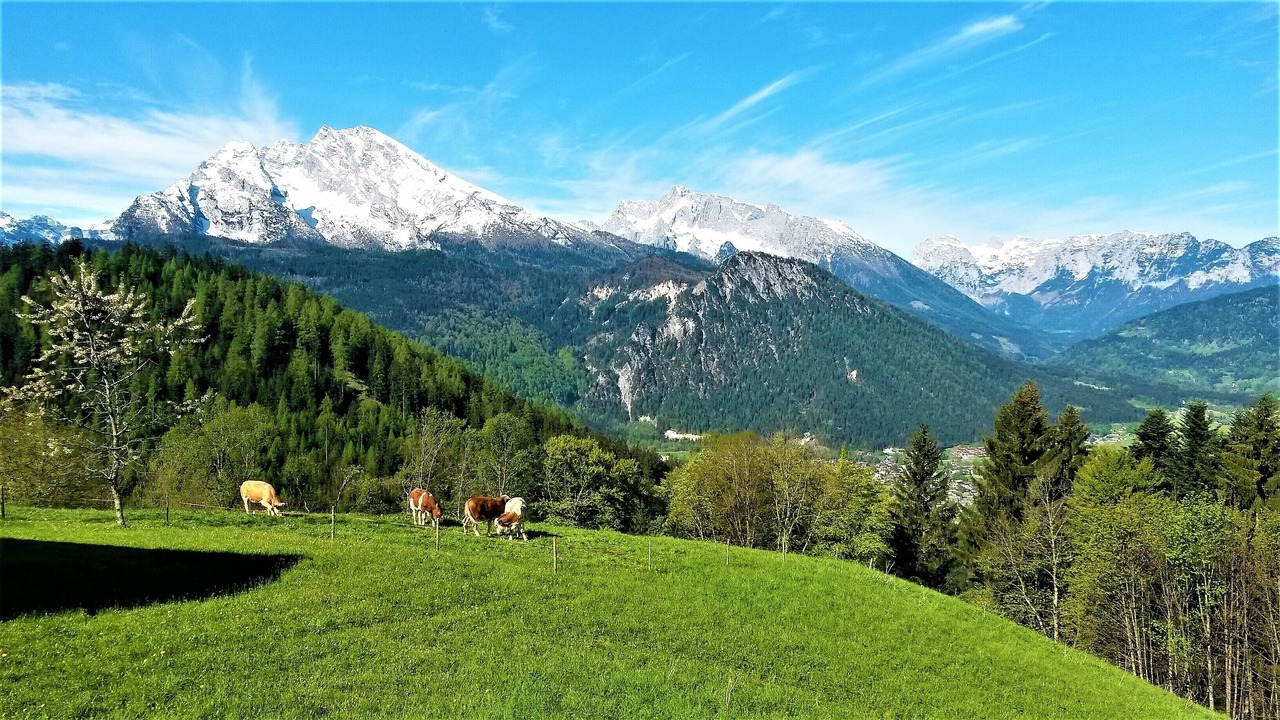 Photo of Outdoor in Schoenau am Koenigssee