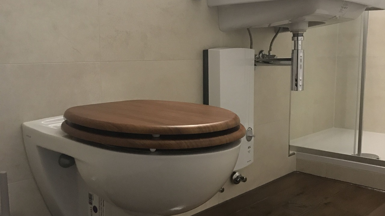 Photo of Bathroom in Feichten