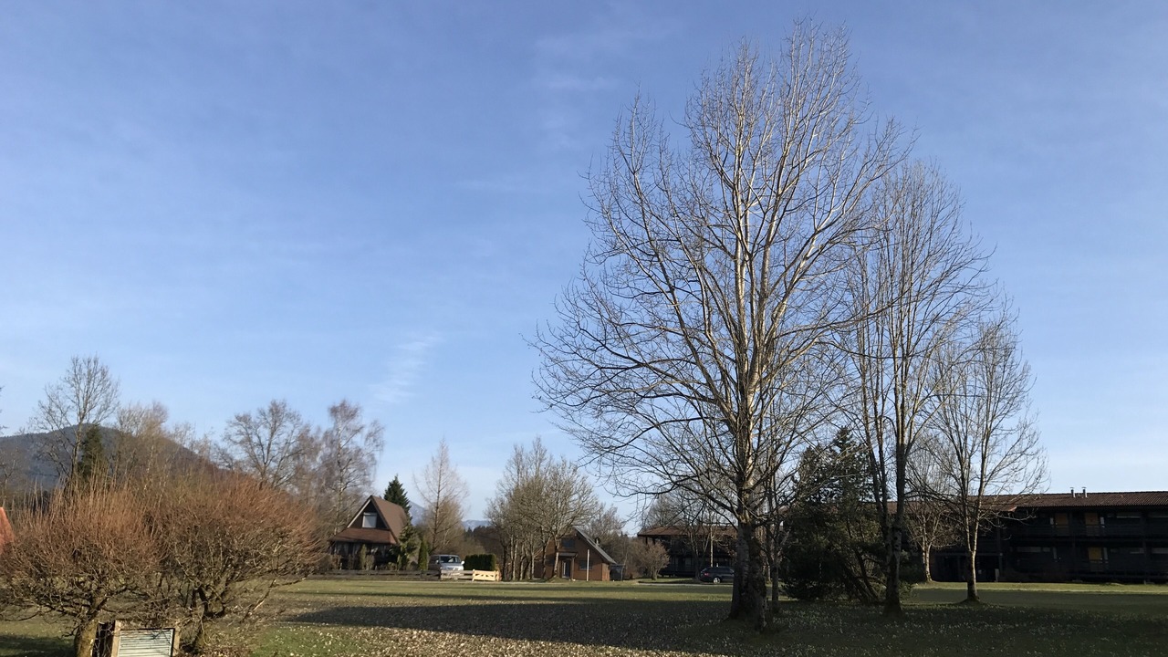 Photo of Outdoor in Feichten