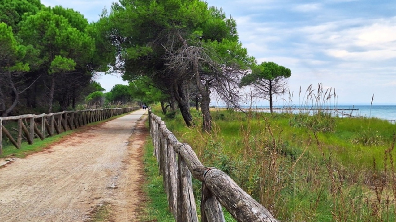 Photo of Others in Bibione Lido del Sole