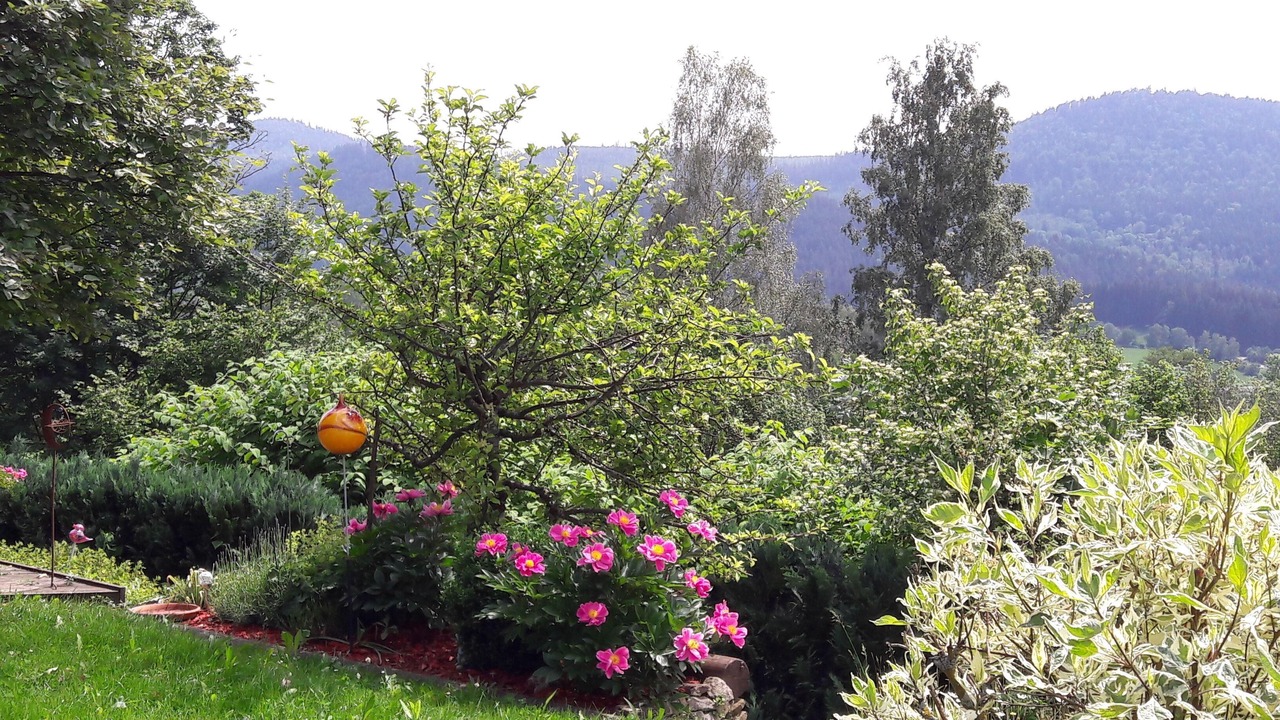 Photo of Outdoor in Bodenmais