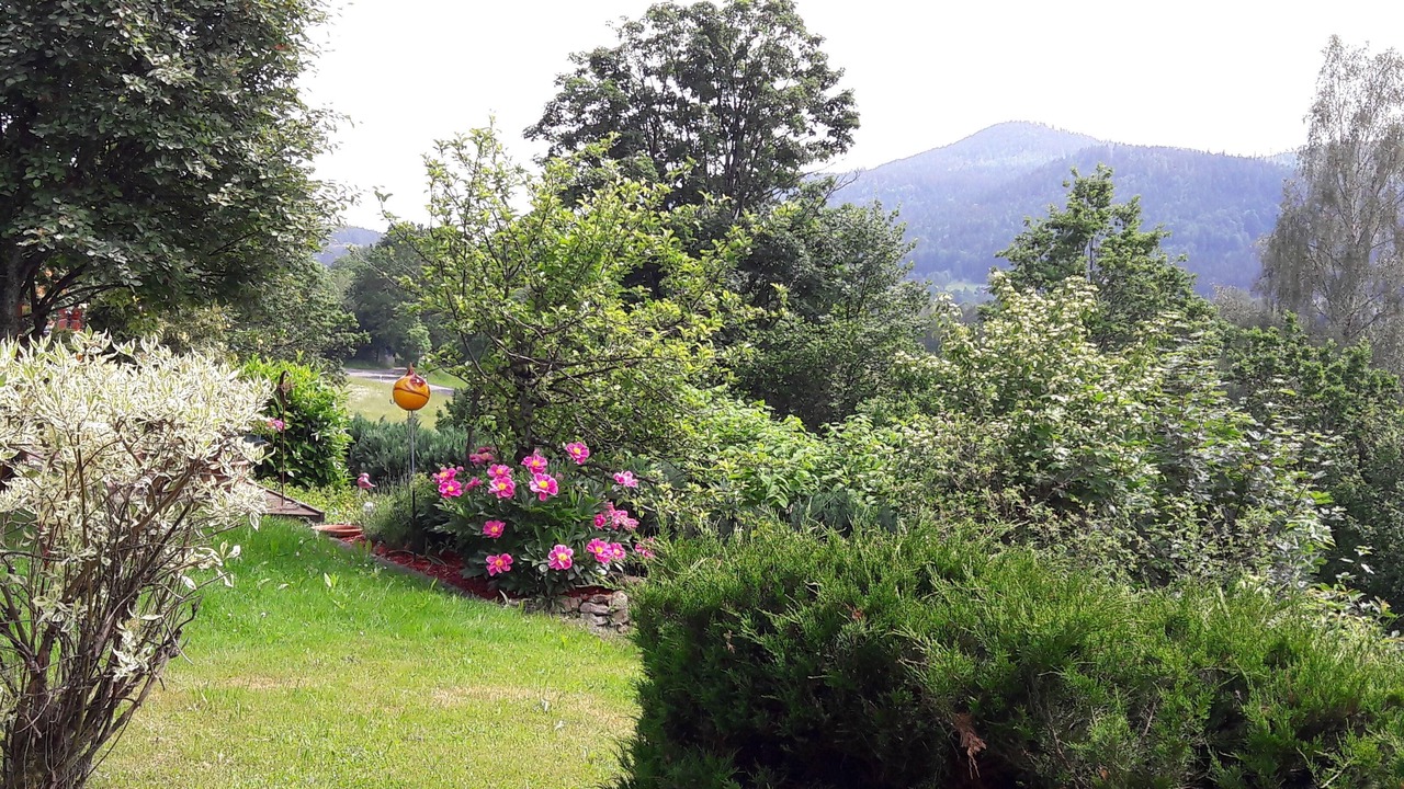 Photo of Outdoor in Bodenmais