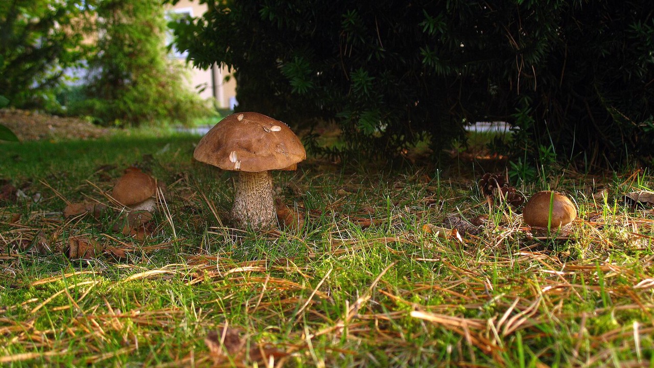 Photo of Outdoor in Bad Steben