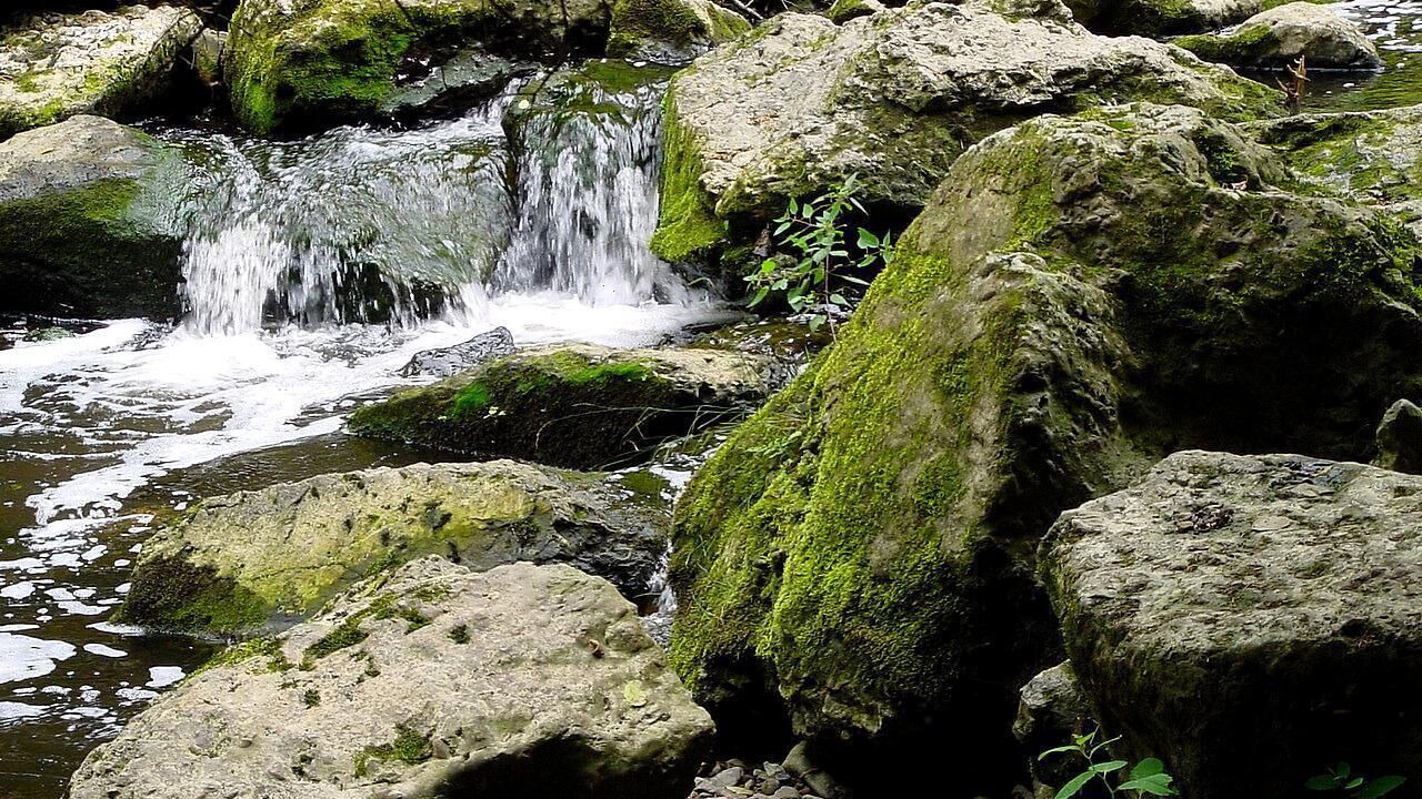 Photo of Outdoor in Bad Steben
