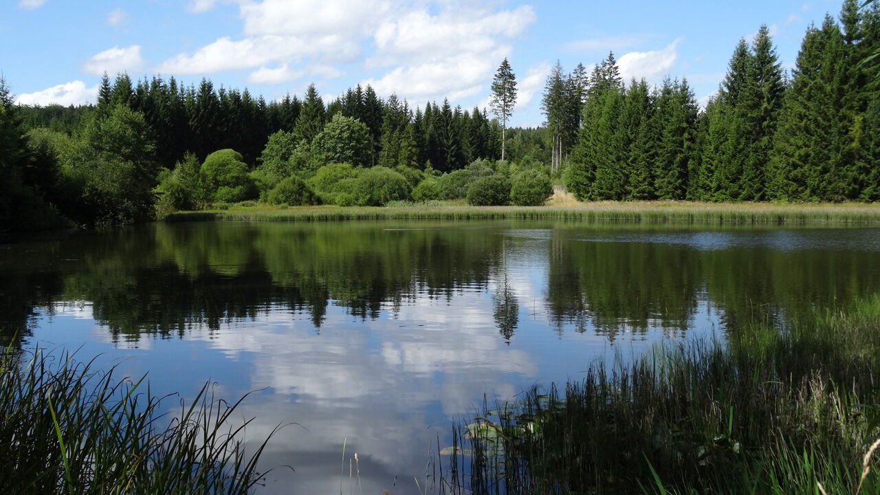 Photo of Outdoor in Bad Steben