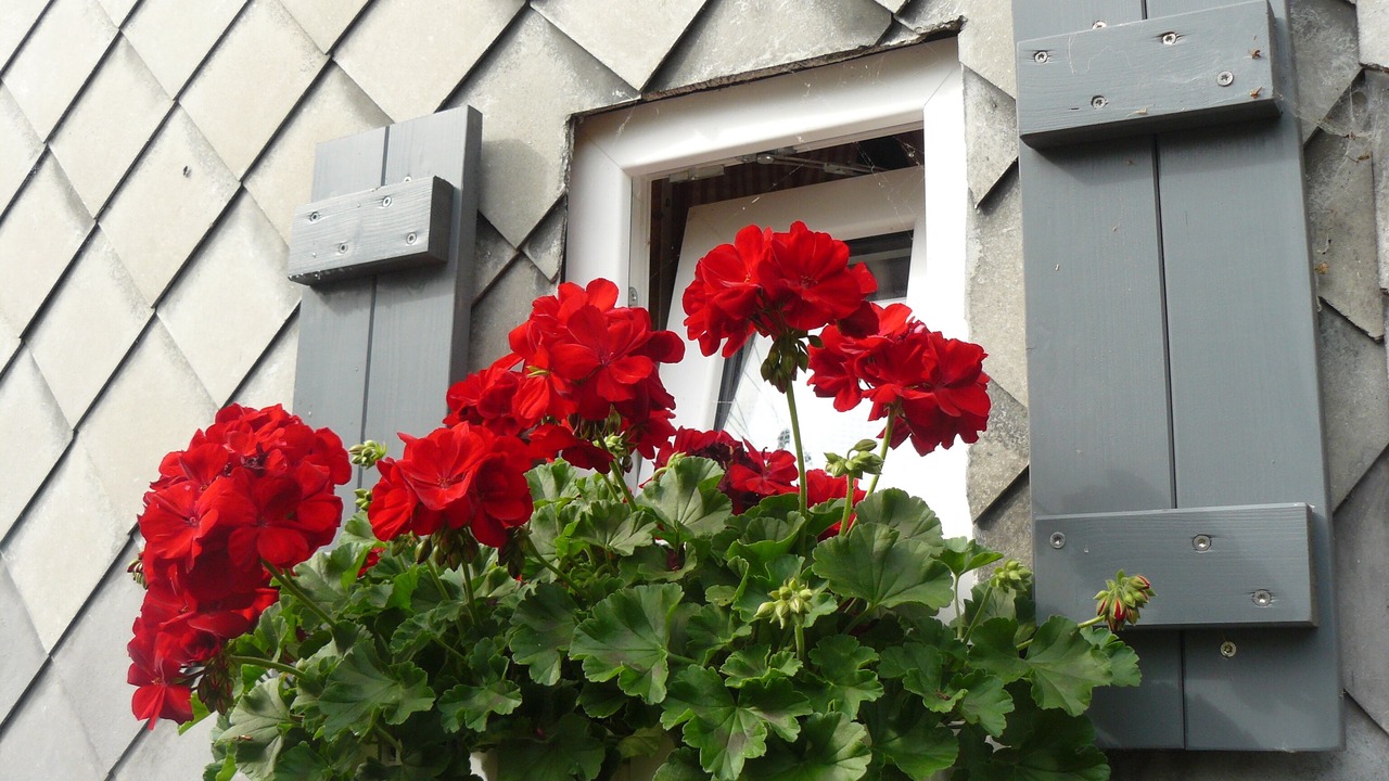 Photo of Outdoor in Growendern
