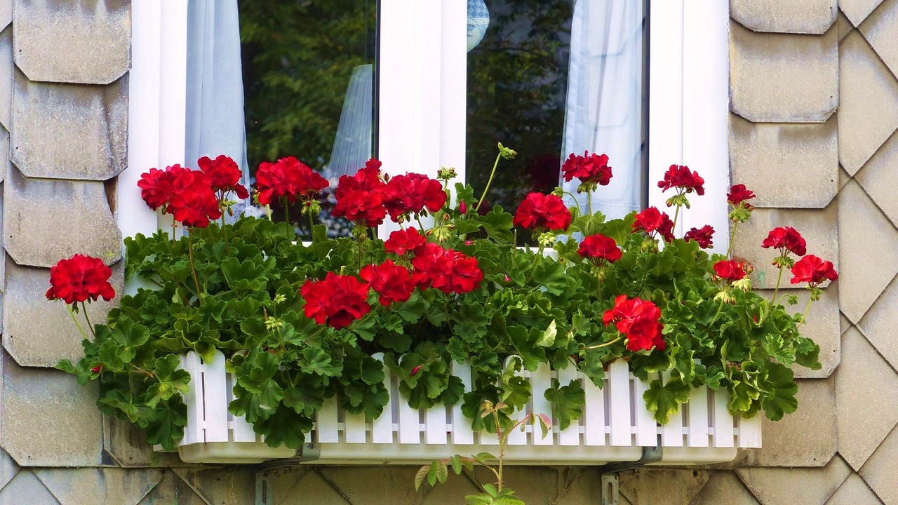 Photo of Outdoor in Growendern