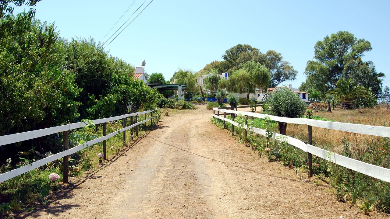 Photo of Outdoor in Santiago do Cacem