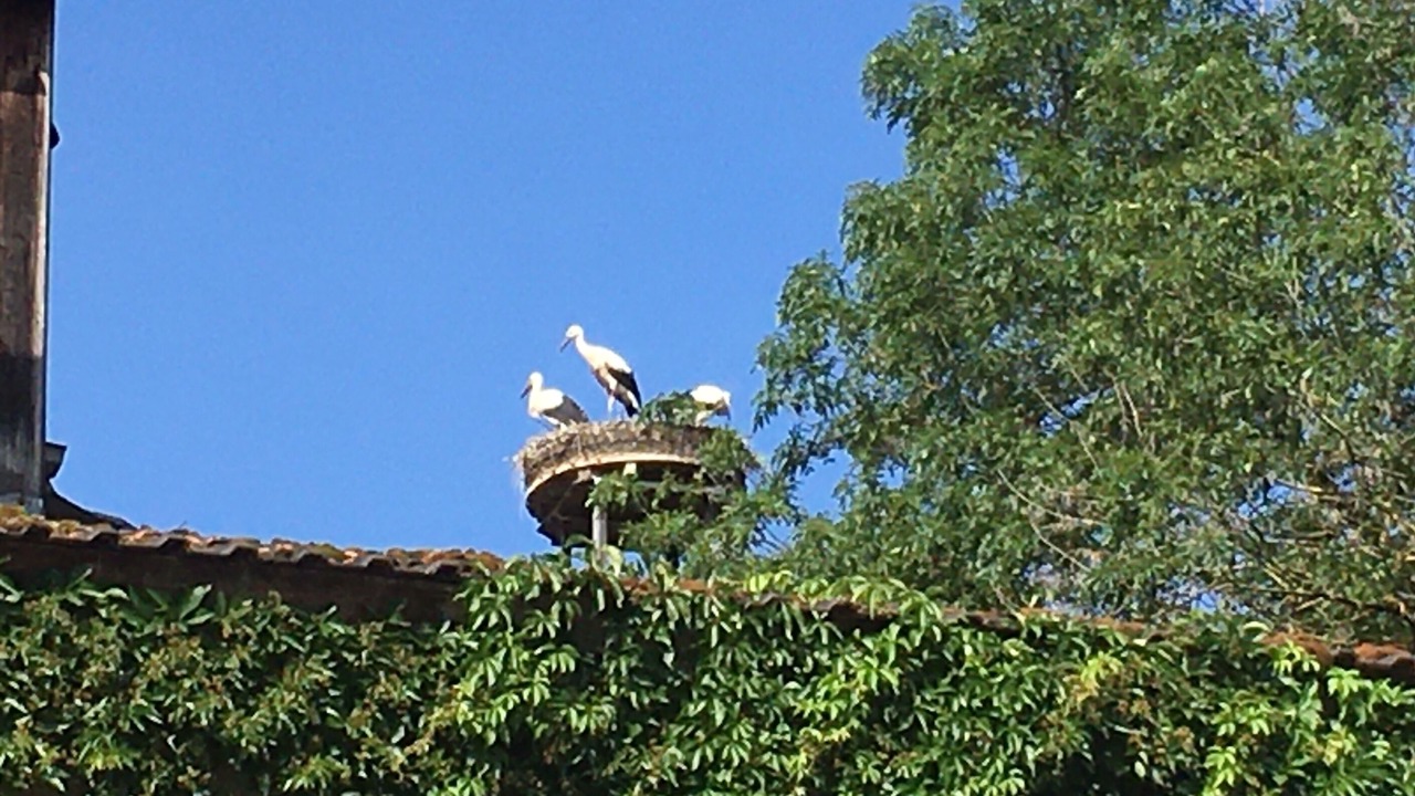 Photo of Outdoor in Altdrossenfeld