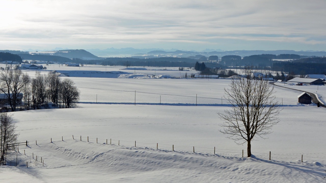 Photo of Others in Unterallgau