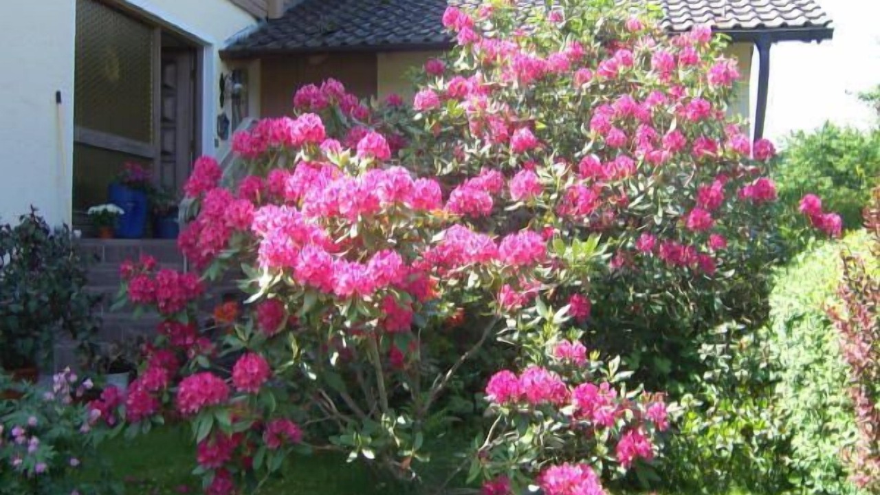 Photo of Outdoor in Bobrach