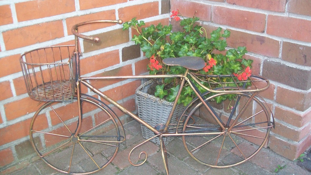 Photo of Outdoor in Heede