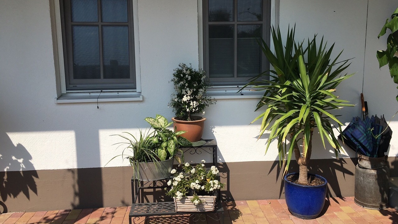 Photo of Patio Balcony in Petting