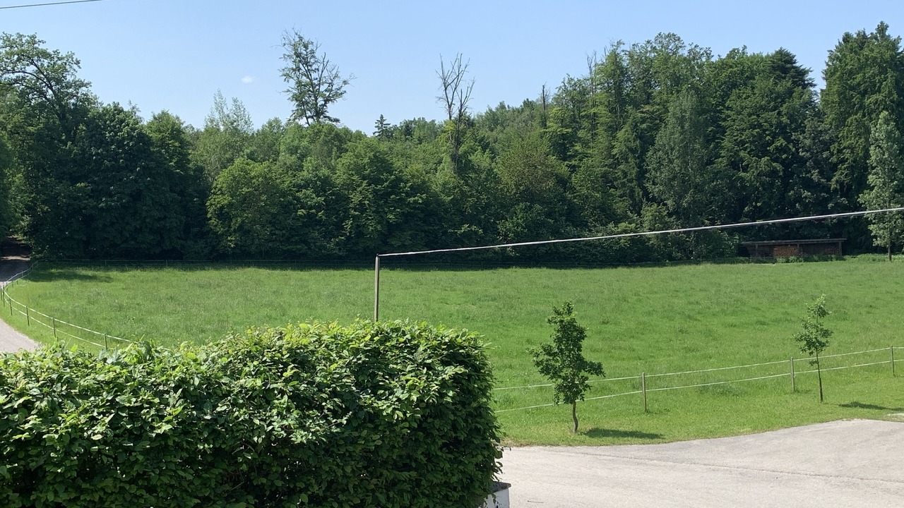 Photo of Others in Ebersberg District