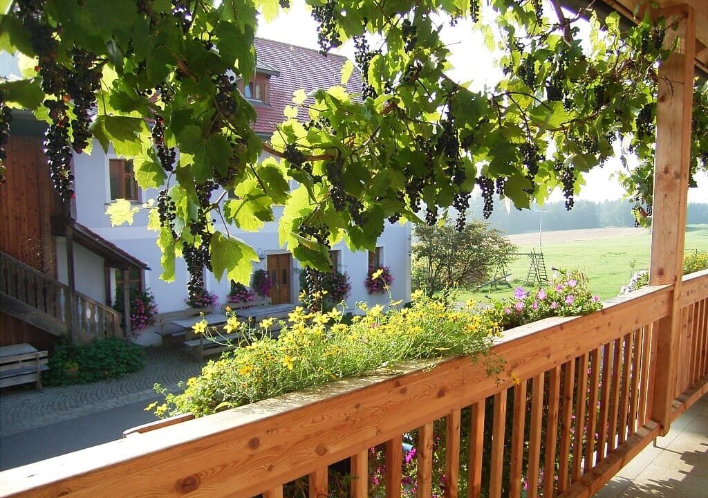 Photo of Outdoor in Schoensee