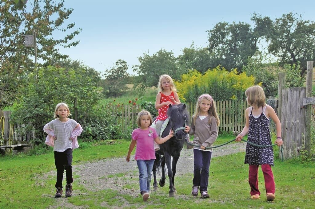 Photo of Others in Schoensee