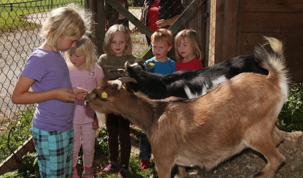 Photo of Others in Schoensee