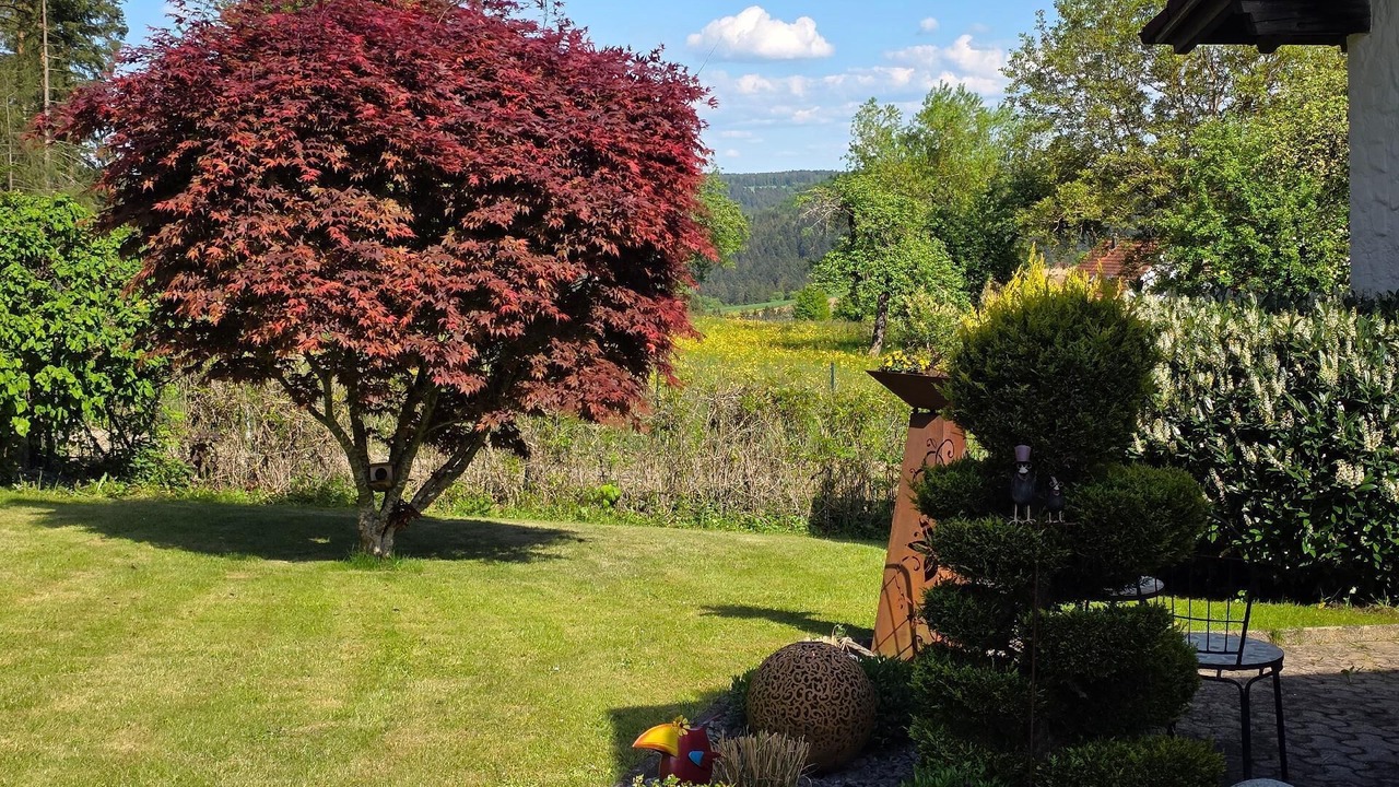 Photo of Outdoor in Lossburg