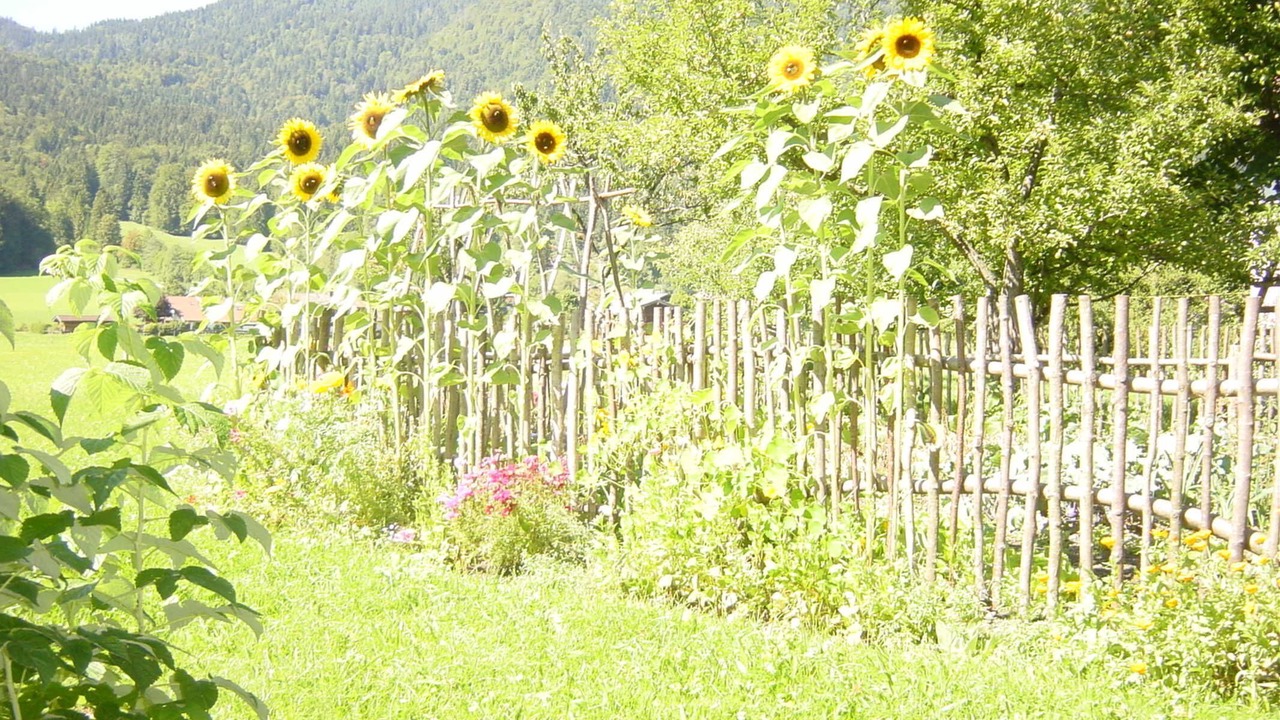 Photo of Outdoor in Kreuth