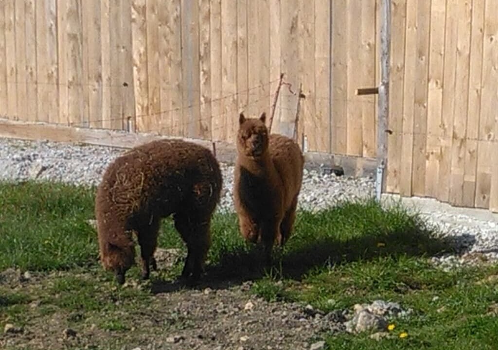 Photo of Outdoor in Bad Koetzting