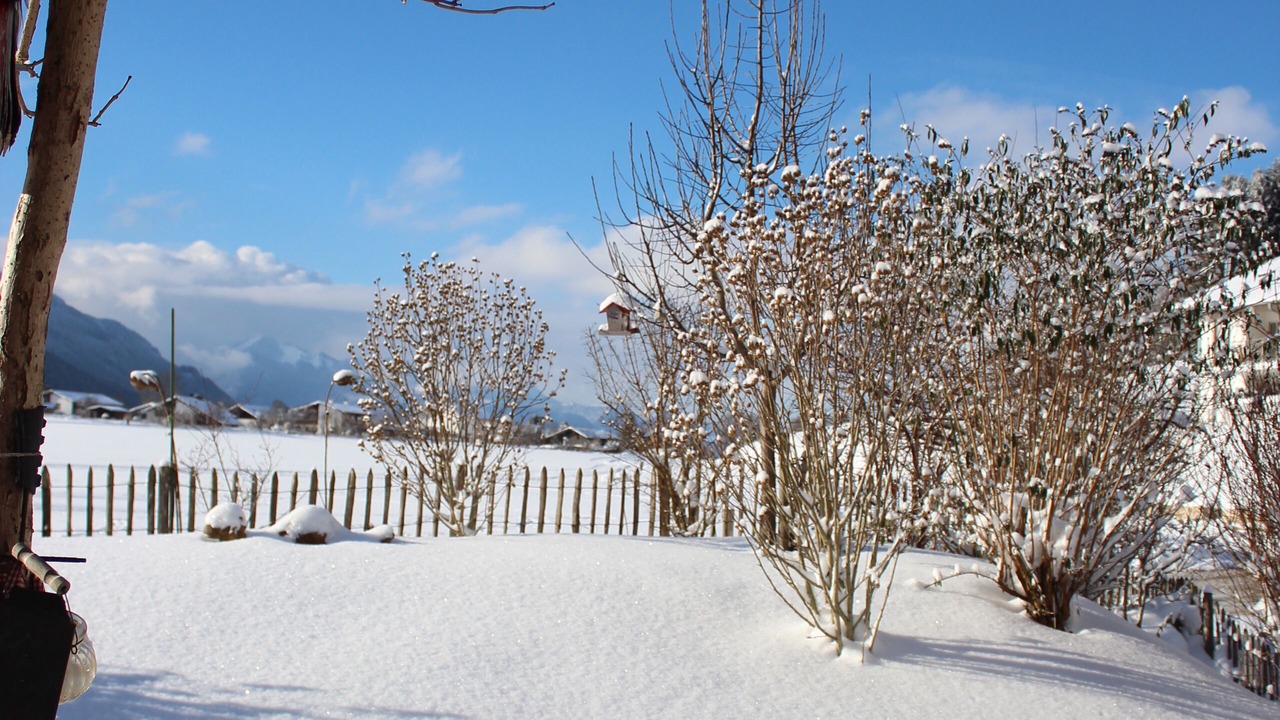 Photo of Outdoor in Bergen