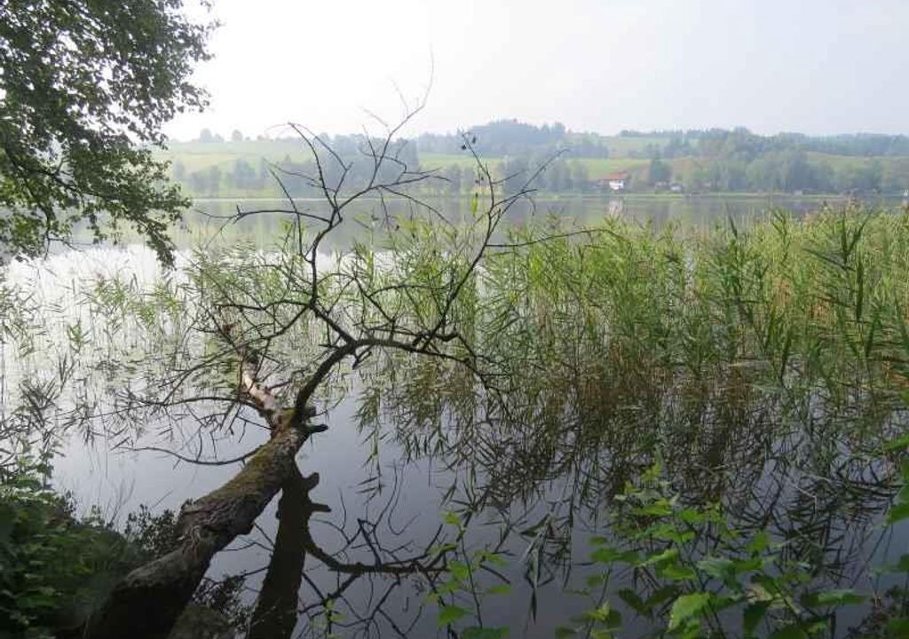 Photo of Others in Bad Bayersoien