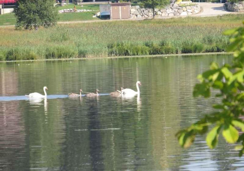 Photo of Others in Bad Bayersoien