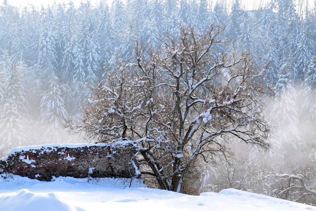 Photo of Outdoor in Wenzenbach