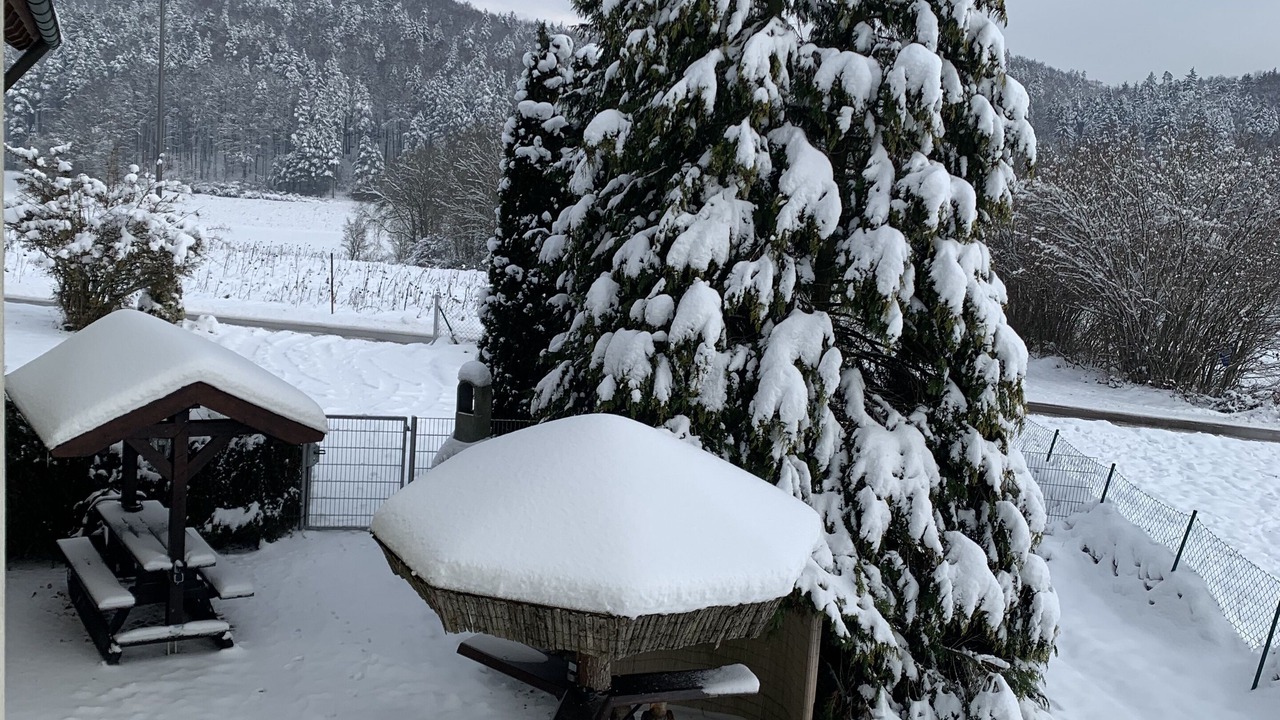 Photo of Patio Balcony in Betzenstein