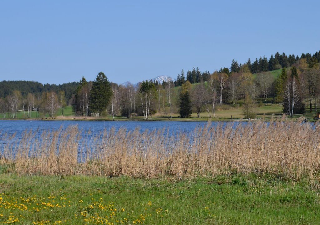 Photo of Others in Bad Bayersoien
