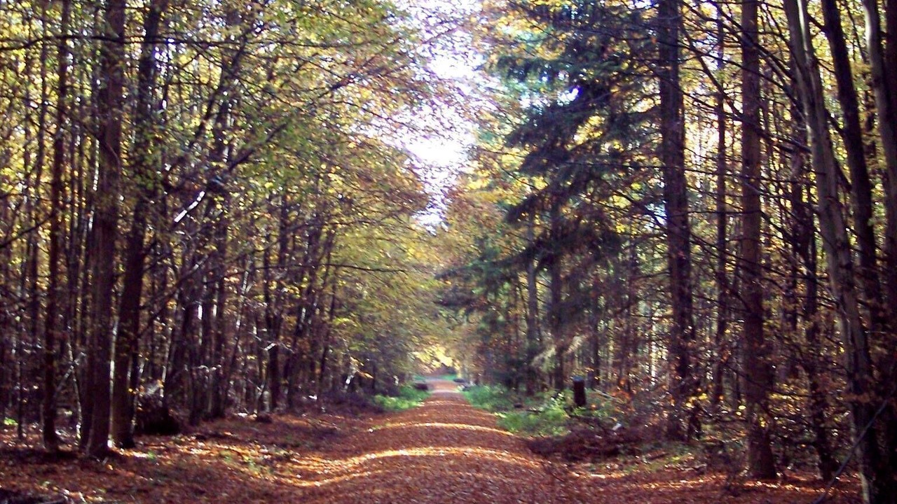 Photo of Outdoor in Bad Brueckenau