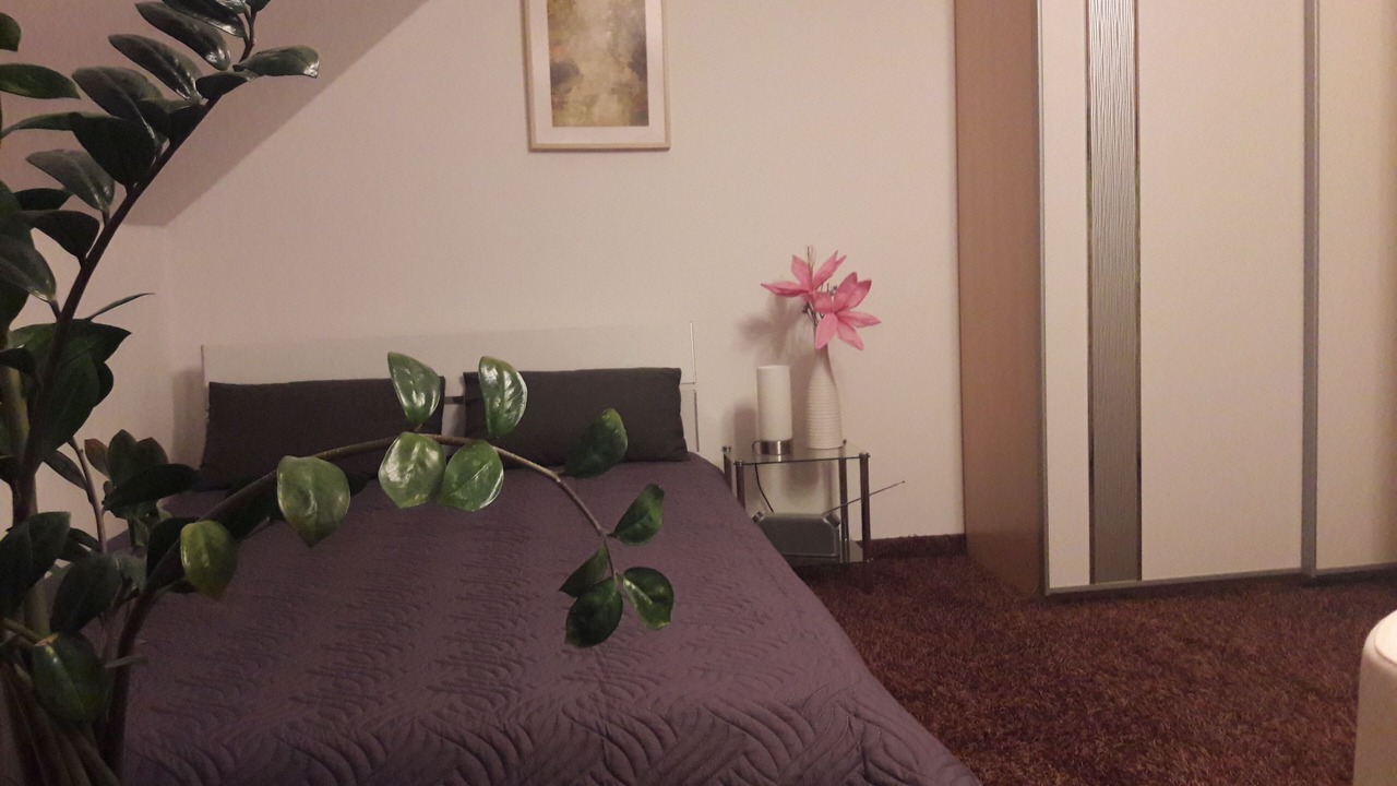Photo of Bedroom in Markt Erlbach