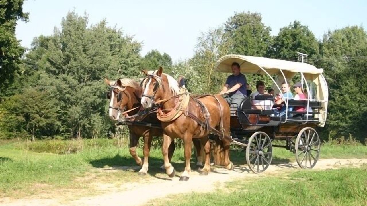Photo of Others in Neunburg vorm Wald