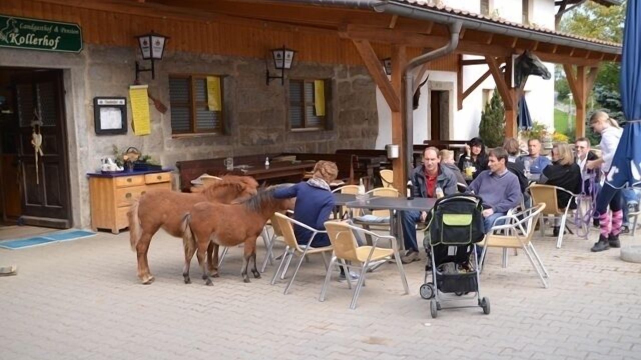 Photo of Outdoor in Neunburg vorm Wald