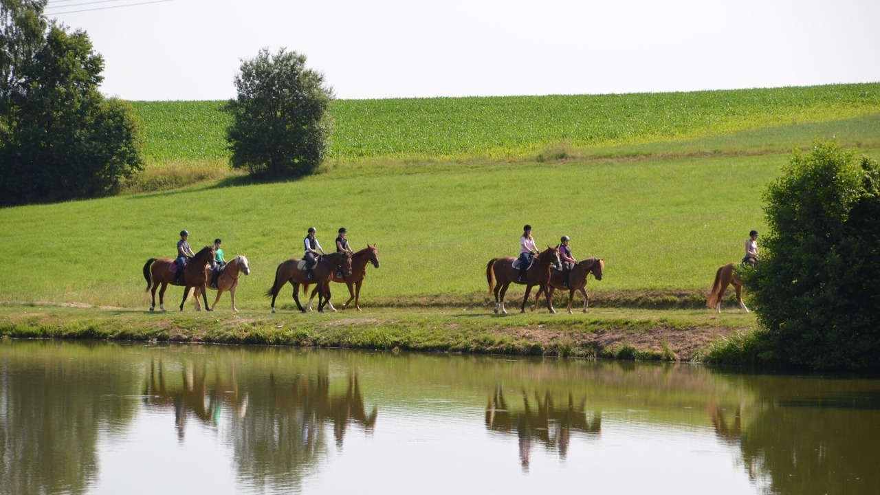 Photo of Others in Neunburg vorm Wald