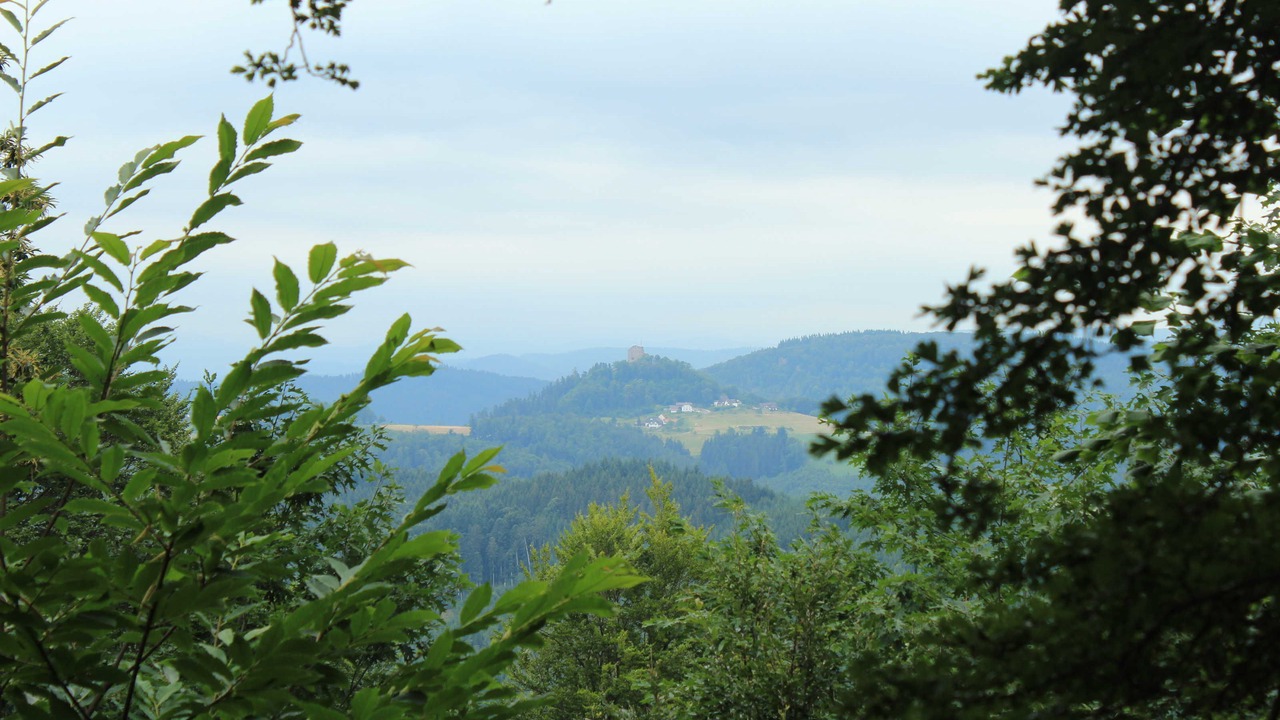Photo of Others in Friesenheim