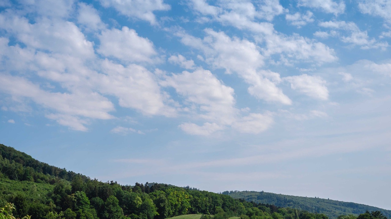 Photo of Others in Friesenheim