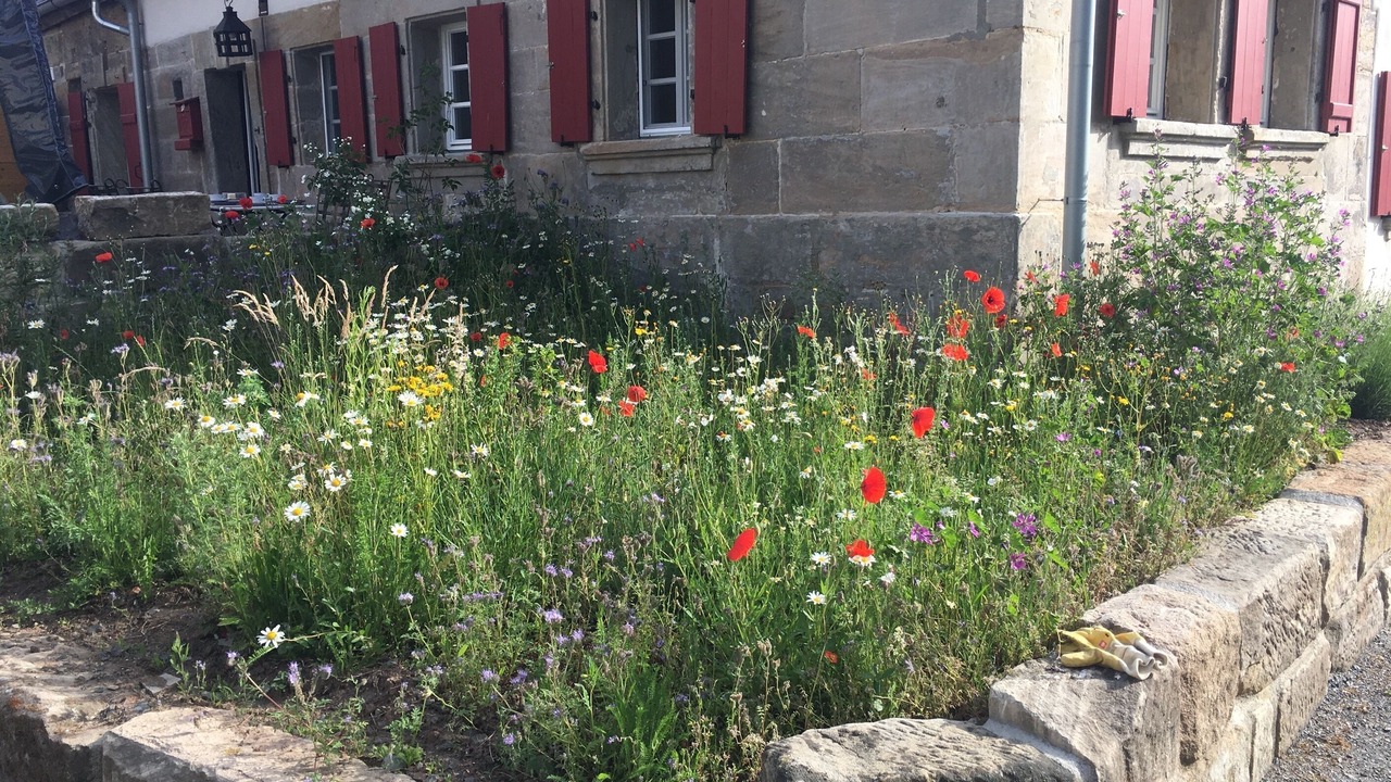 Photo of Outdoor in Altdrossenfeld