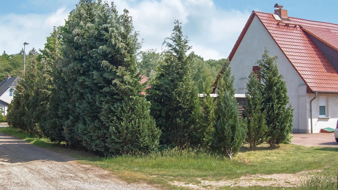 Photo of Others in Hinrichshagen