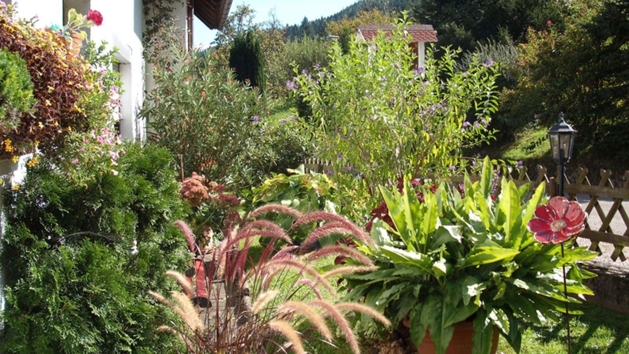 Photo of Outdoor in Ettenheim