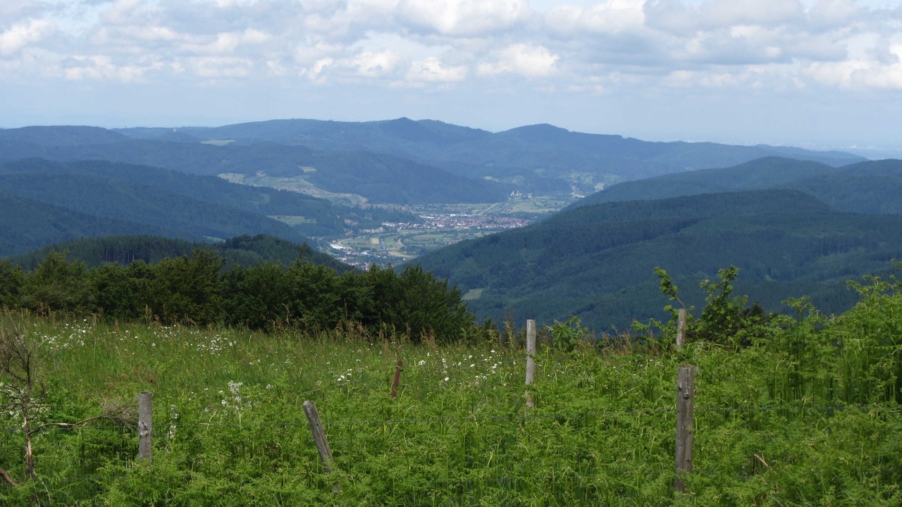 Photo of Others in Elzach