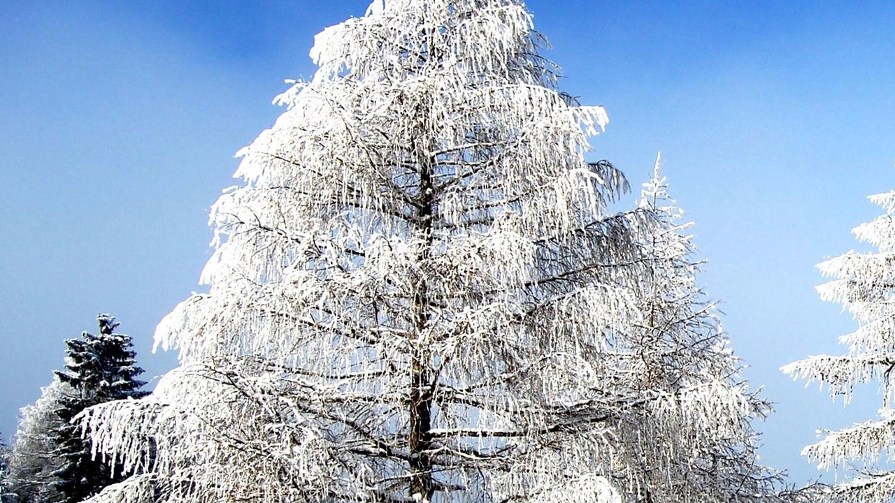 Photo of Outdoor in Auen